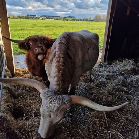 Апартаменти Bed&Bbq Longhornranch Акерслот Екстер'єр фото